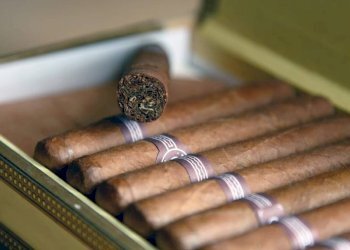 Altro - Bar - Tobacco - Ricevitoria Moncalieri - photo 12