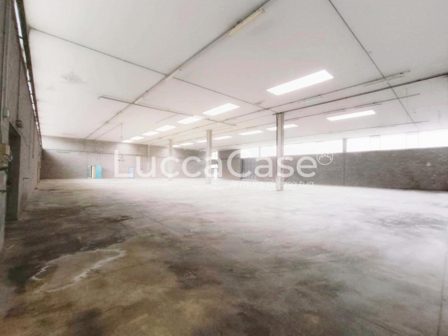 Shed Lucca - photo 3