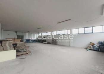 Shed Lucca - photo 9