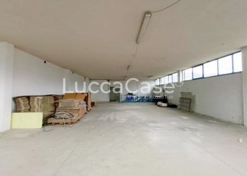 Shed Lucca - photo 10