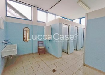 Shed Lucca - photo 12