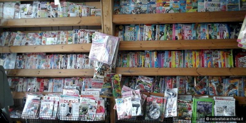 296_1459244208-3.jpg_large.jpg - Edicole - Edicole con Chiosco Via Roma, Lucca - foto 1