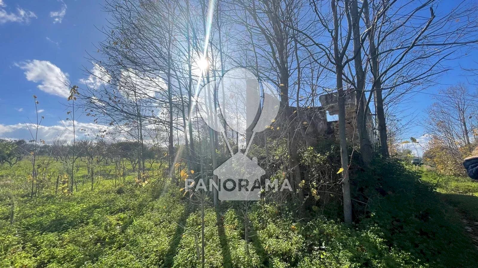 Villa contrada velez, Balestrate - photo 3