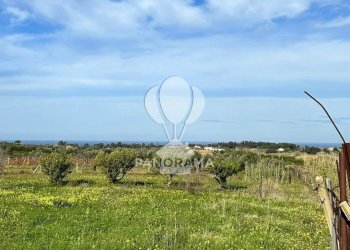 Villa contrada velez, Balestrate - foto 7