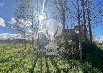 Villa contrada velez, Balestrate - foto 3