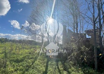 Villa contrada velez, Balestrate - foto 6