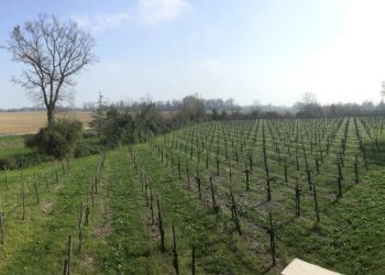 Villa Via Guglielmo Marconi, Ruda - foto 9