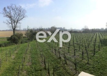 Villa Via Guglielmo Marconi, Ruda - foto 9