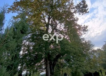 Villa Via Guglielmo Marconi, Ruda - foto 26