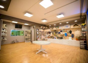 Negozio Marsala - foto 1