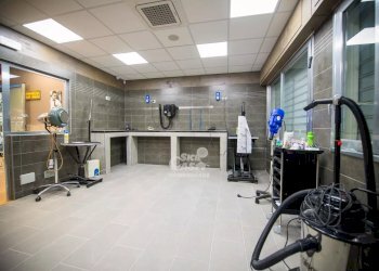 Negozio Marsala - foto 6