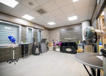 Negozio Marsala - foto 9