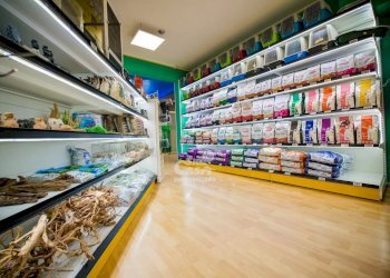 Negozio Marsala - foto 10