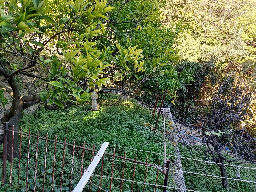 Villa Bifamiliare via vigo, Alassio - foto 2