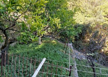 Villa Bifamiliare via vigo, Alassio - foto 2