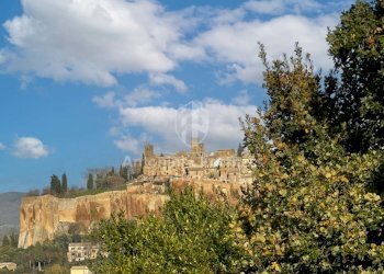 Il Casale dei Rosmarini-16 (5).jpg - Rustico SC del Tamburino, Orvieto - foto 3