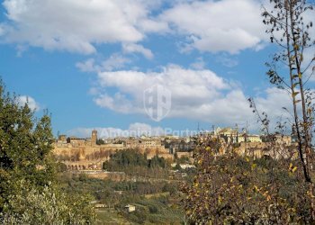 Il Casale dei Rosmarini-16 (6).jpg - Rustico SC del Tamburino, Orvieto - foto 9