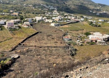 WhatsApp Image 2024-01-10 at 08.07.31 (2).jpeg - Terreno edificabile VIA KHAMMA, Pantelleria - foto 6