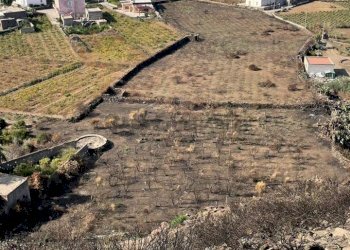 WhatsApp Image 2024-01-10 at 08.07.31 (4).jpeg - Terreno edificabile VIA KHAMMA, Pantelleria - foto 8