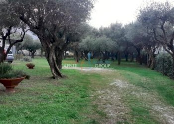 1230300-3s71zj.jpg - Appartamento Via G. Carducci 185, Massa - foto 11