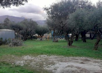 1230300-a4k599ucn.jpg - Appartamento Via G. Carducci 185, Massa - foto 12