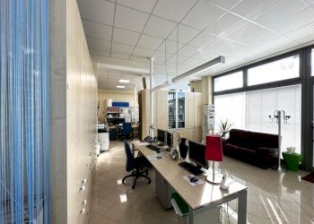 Negozio via San Carlo 15, Castel Guelfo di Bologna - foto 16