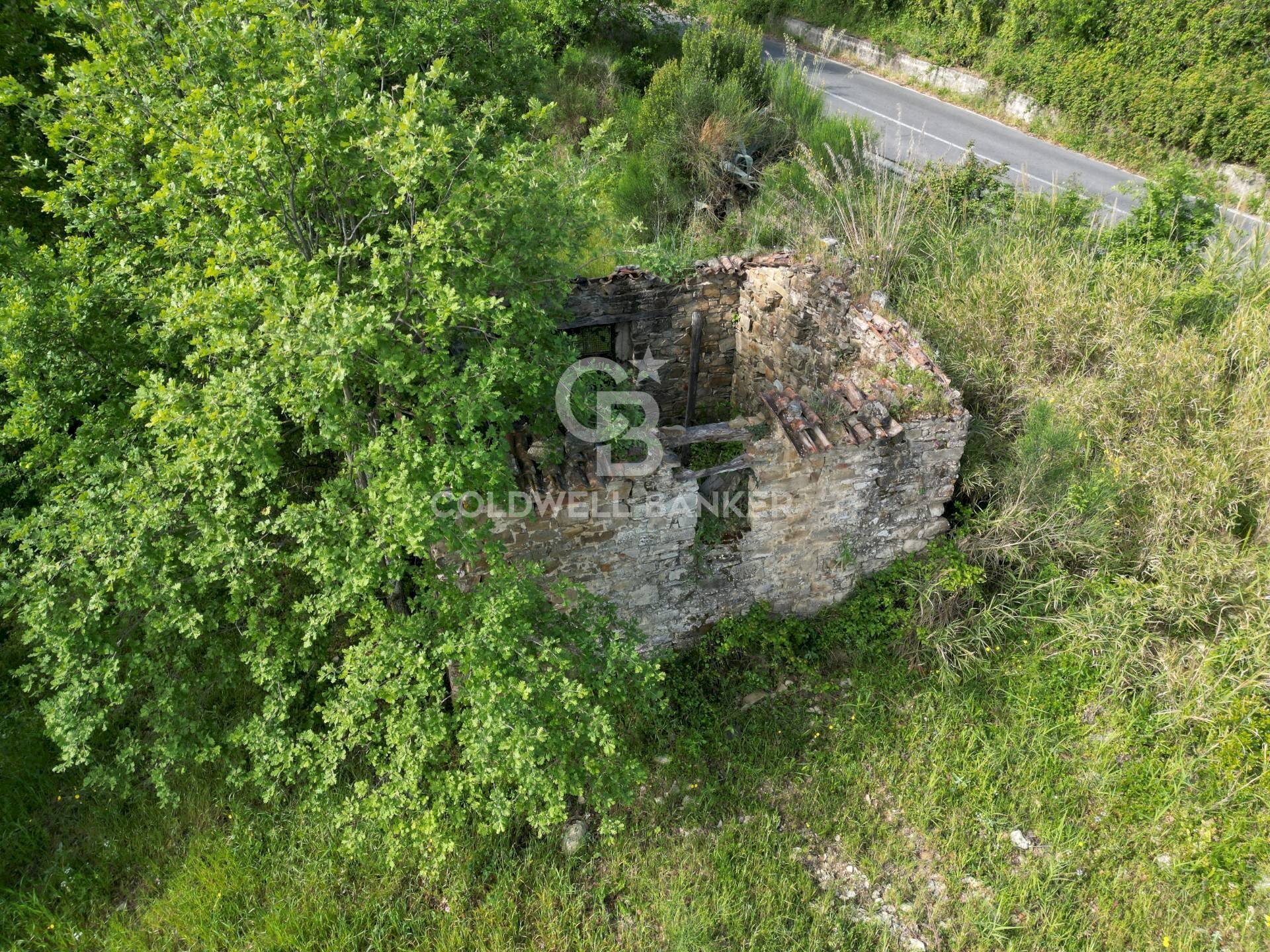 Terreno agricolo S.S. Tirrena Inferiore, Ogliastro Cilento - foto 1