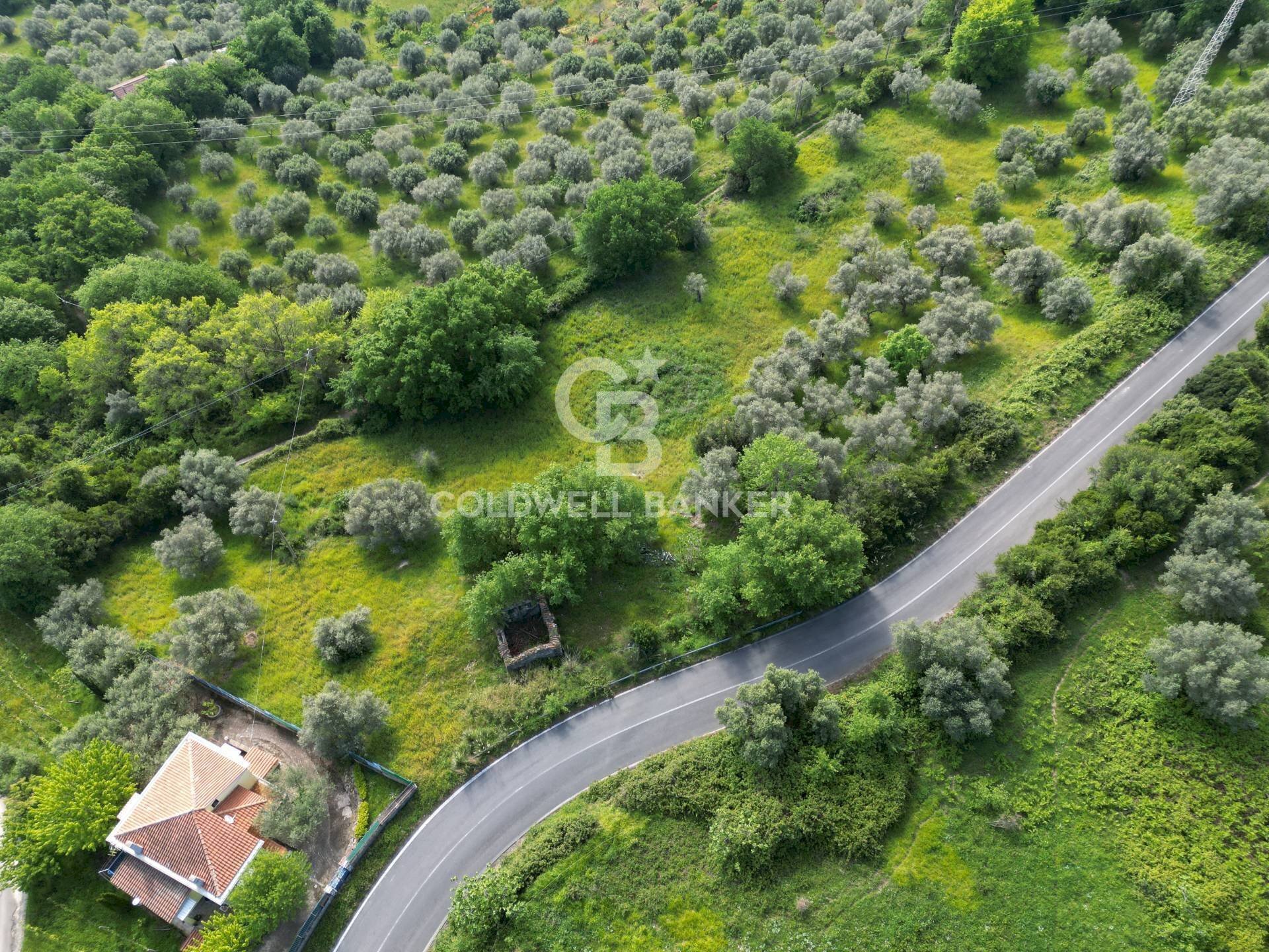 Terreno agricolo S.S. Tirrena Inferiore, Ogliastro Cilento - foto 2