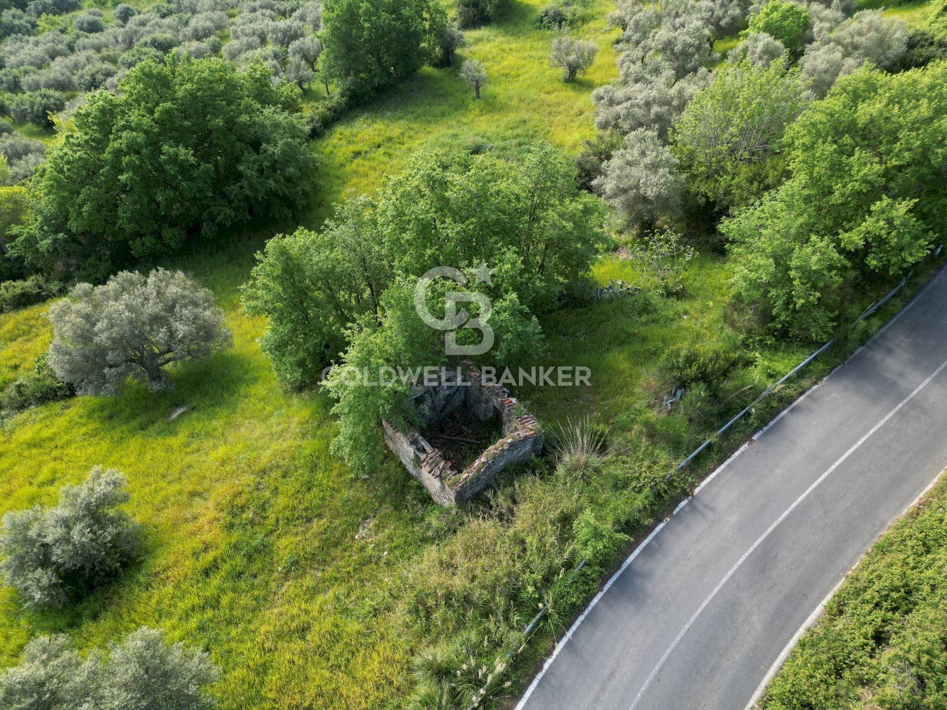 Terreno agricolo S.S. Tirrena Inferiore, Ogliastro Cilento - foto 3