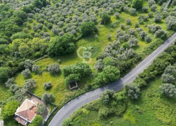Terreno agricolo S.S. Tirrena Inferiore, Ogliastro Cilento - foto 2