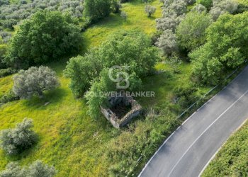 Terreno agricolo S.S. Tirrena Inferiore, Ogliastro Cilento - foto 3