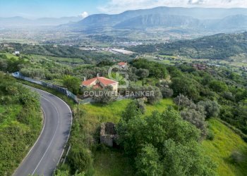 Terreno agricolo S.S. Tirrena Inferiore, Ogliastro Cilento - foto 5