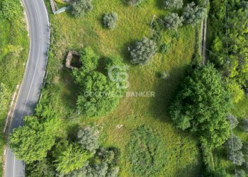 Terreno agricolo S.S. Tirrena Inferiore, Ogliastro Cilento - foto 6