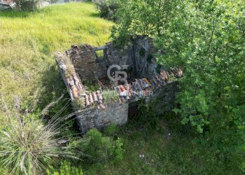 Terreno agricolo S.S. Tirrena Inferiore, Ogliastro Cilento - foto 7