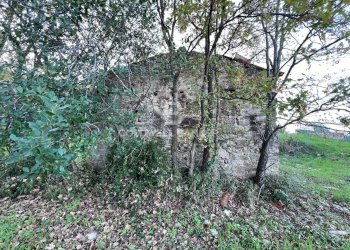 Terreno agricolo S.S. Tirrena Inferiore, Ogliastro Cilento - foto 10