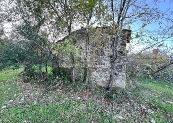 Terreno agricolo S.S. Tirrena Inferiore, Ogliastro Cilento - foto 11