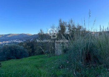 Terreno agricolo S.S. Tirrena Inferiore, Ogliastro Cilento - foto 12