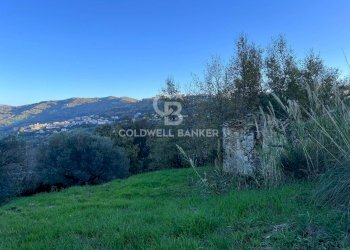 Terreno agricolo S.S. Tirrena Inferiore, Ogliastro Cilento - foto 13