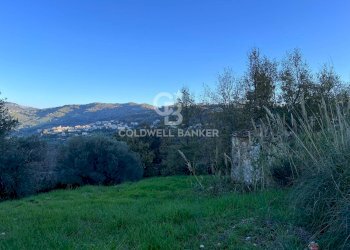 Terreno agricolo S.S. Tirrena Inferiore, Ogliastro Cilento - foto 14