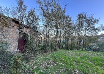 Terreno agricolo S.S. Tirrena Inferiore, Ogliastro Cilento - foto 15