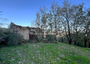 Terreno agricolo S.S. Tirrena Inferiore, Ogliastro Cilento - foto 16