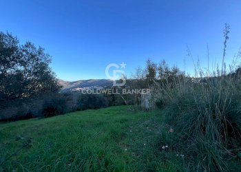 Terreno agricolo S.S. Tirrena Inferiore, Ogliastro Cilento - foto 17