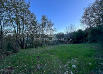 Terreno agricolo S.S. Tirrena Inferiore, Ogliastro Cilento - foto 18