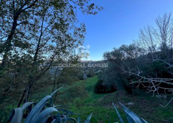 Terreno agricolo S.S. Tirrena Inferiore, Ogliastro Cilento - foto 19