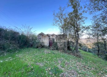 Terreno agricolo S.S. Tirrena Inferiore, Ogliastro Cilento - foto 21