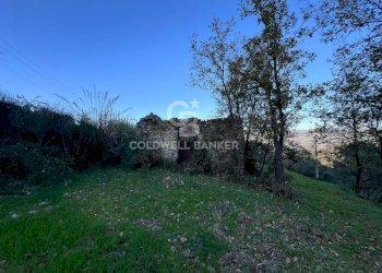 Terreno agricolo S.S. Tirrena Inferiore, Ogliastro Cilento - foto 22