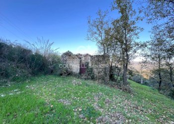 Terreno agricolo S.S. Tirrena Inferiore, Ogliastro Cilento - foto 23