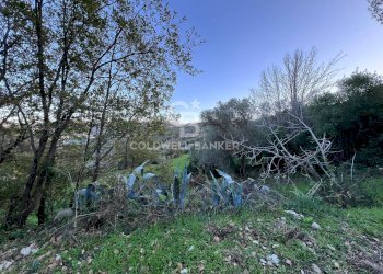 Terreno agricolo S.S. Tirrena Inferiore, Ogliastro Cilento - foto 24