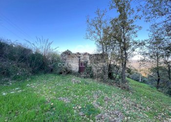 Terreno agricolo S.S. Tirrena Inferiore, Ogliastro Cilento - foto 25