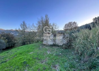 Terreno agricolo S.S. Tirrena Inferiore, Ogliastro Cilento - foto 26